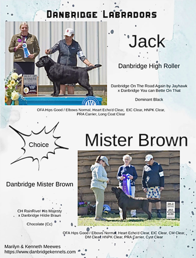 Danbridge - Jack or Mister Brown