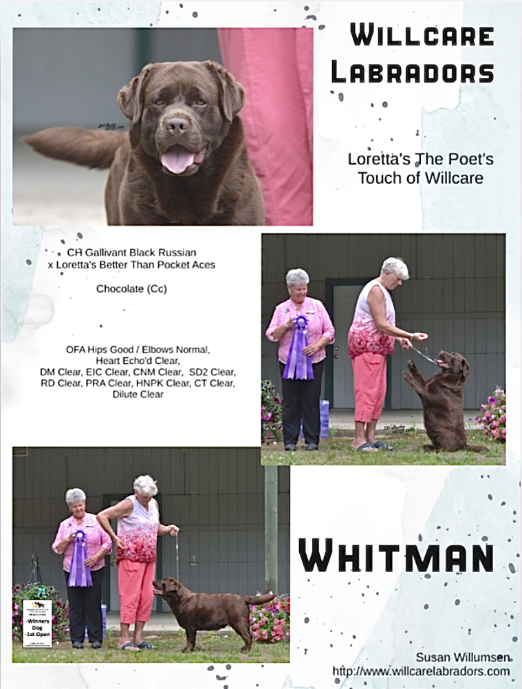 Willcare - Whitman